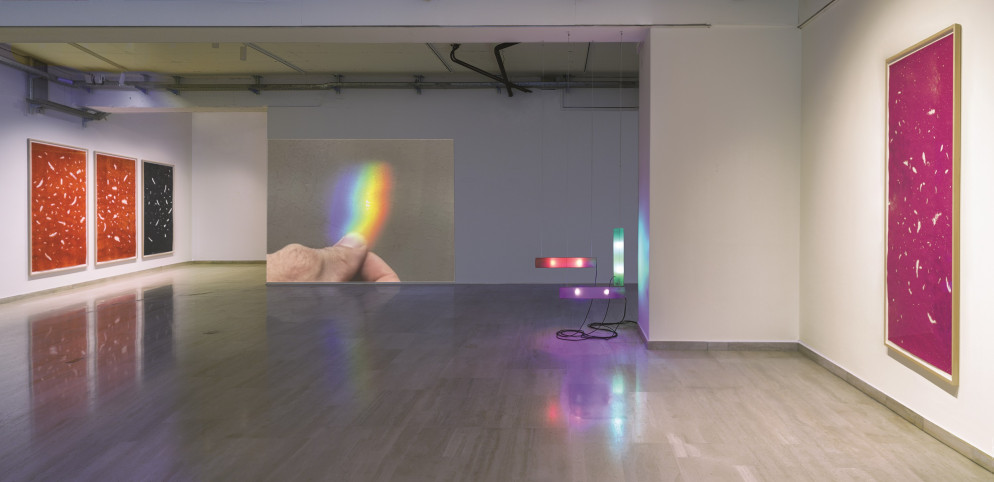 photo credits Daniele De Lonti, Vincenzo Miranda