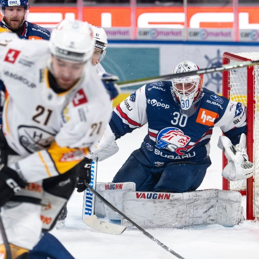 Non resta che battere quel mostro di Hrubec