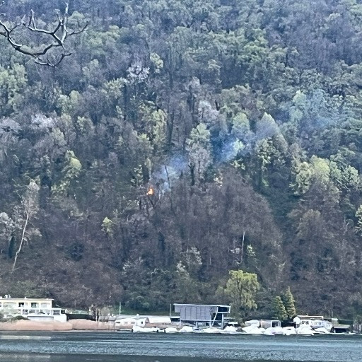 Incendio boschivo a Caslano