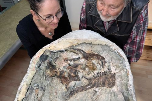 «Lucy» è una scoperta rossocrociata, un tesoro del Giurassico per il Museo di Aathal