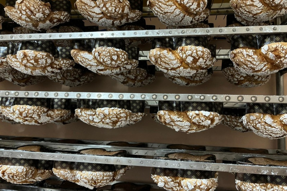 Colombe di Pasqua, una tradizione anche in Ticino: «Ma non chiamatelo panettone con le ali»