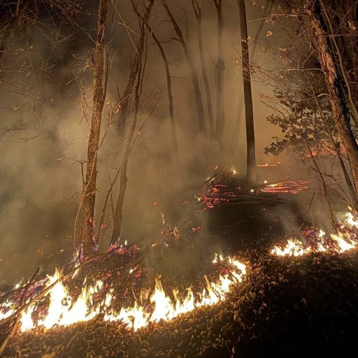 Roghi in Malcantone, l'indagato è un pompiere