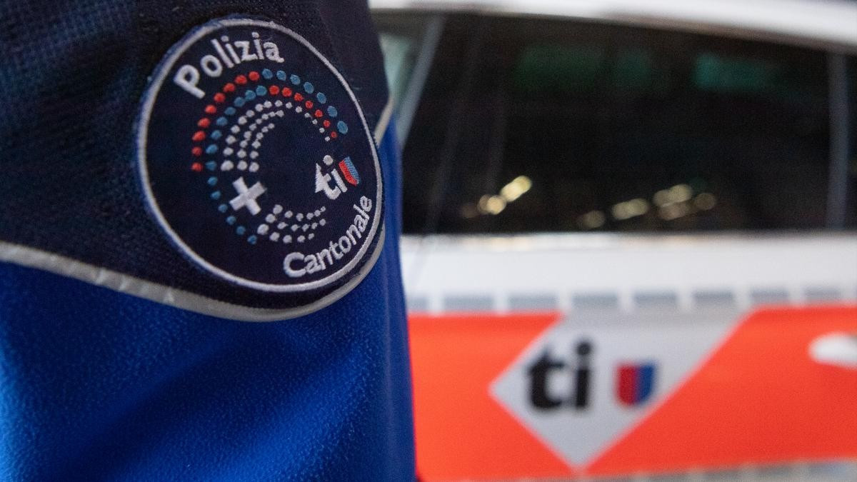 Operaio muore travolto da due piante