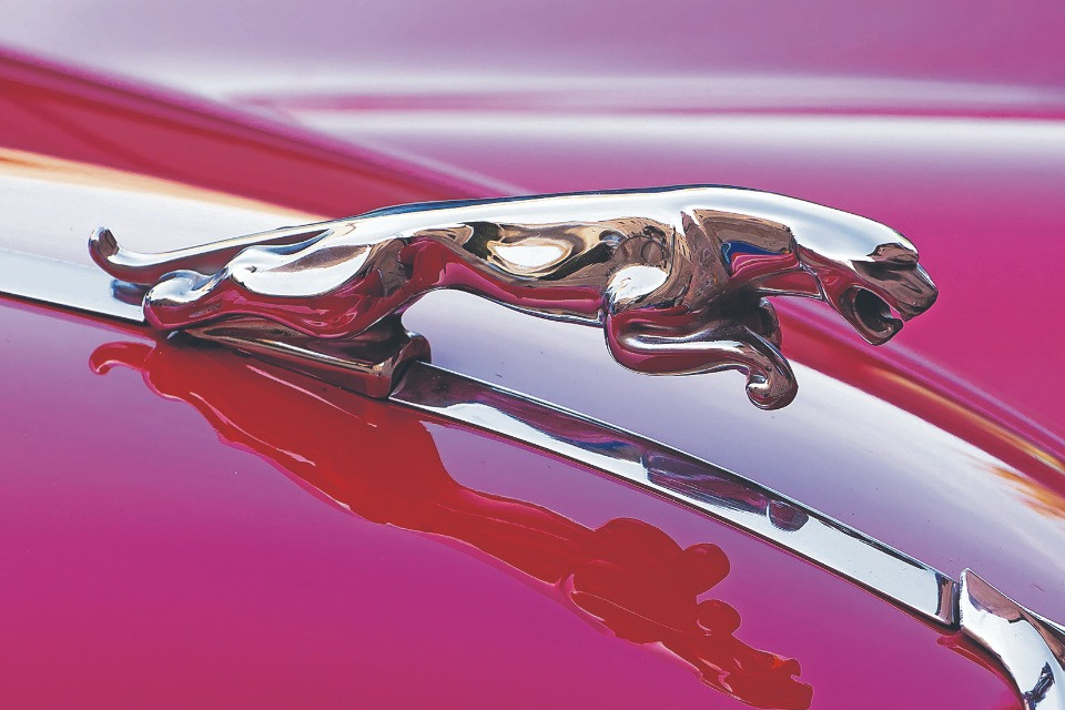 «Con arroganza ha negato l'innegabile»