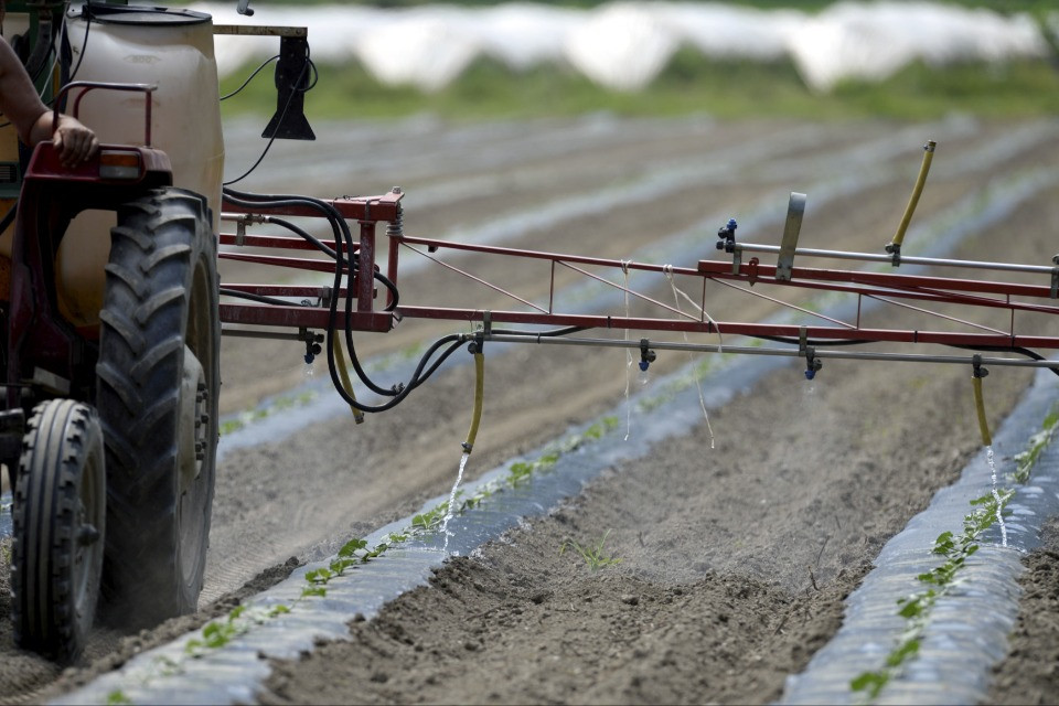 Se il petrolio scarseggia, gli agricoltori mettono in discussione i voli turistici