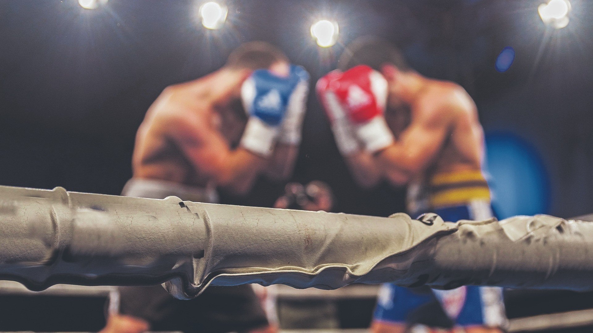 I migliori boxeur elvetici si affrontano a Lugano