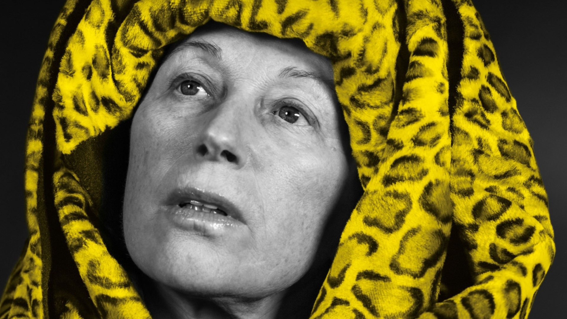 Svelata l'immagine di Locarno 79