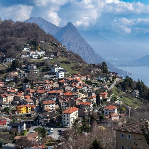 Presunto lupo avvistato sopra il villaggio di Brè