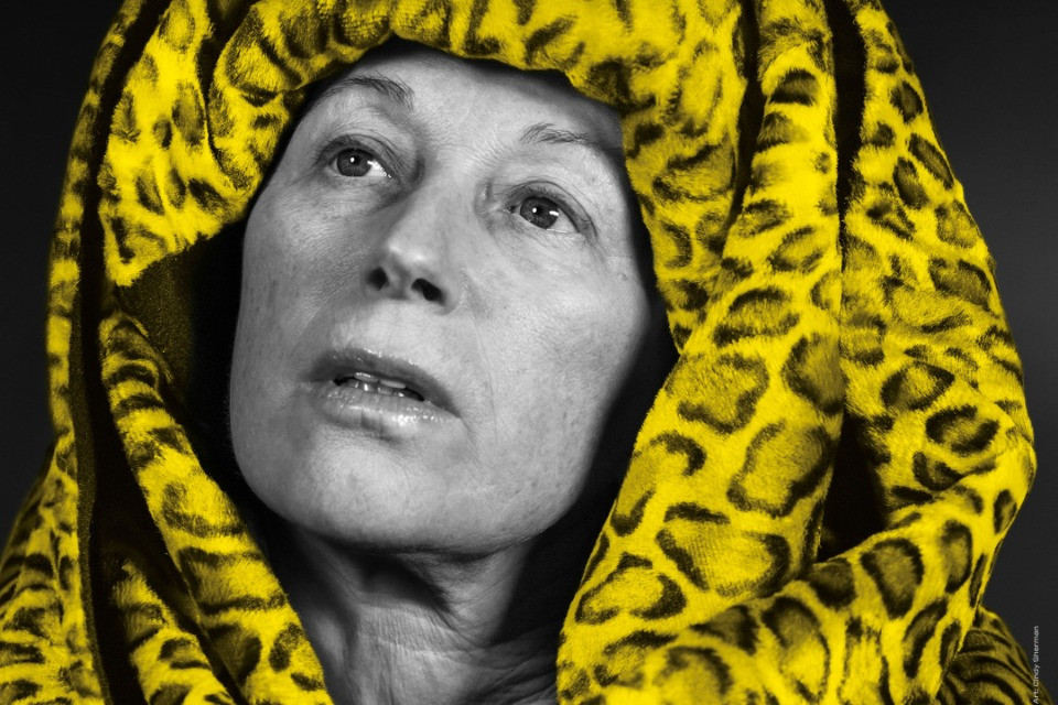 Svelata l'immagine di Locarno 79