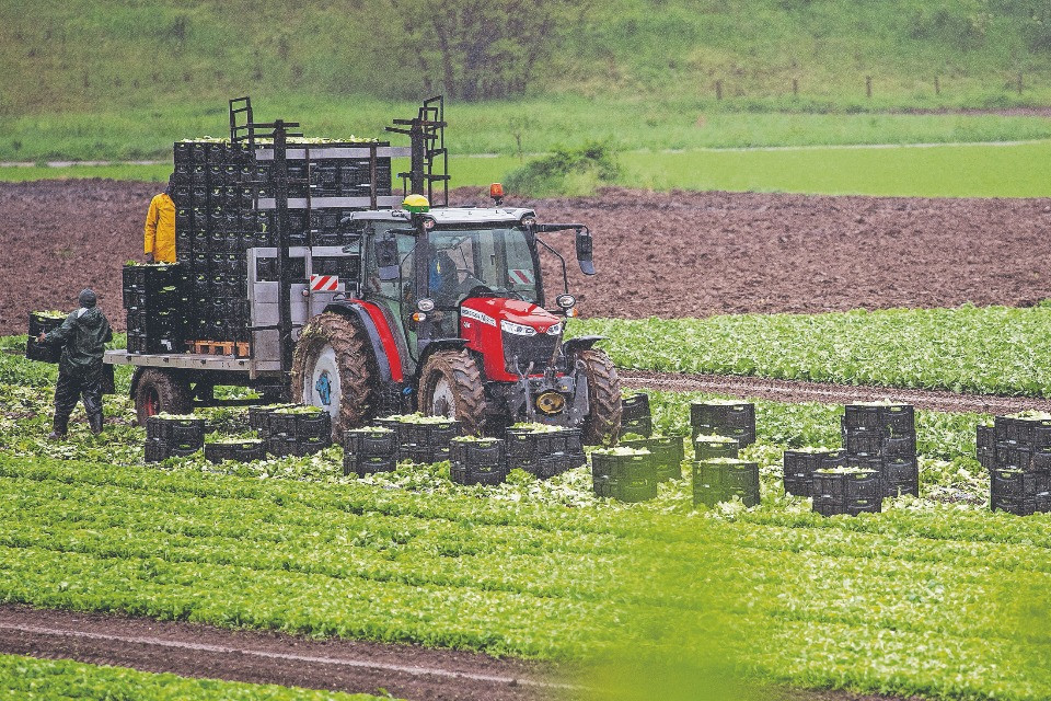 «Più tutela per i prodotti locali», le sfide dell’agricoltura ticinese