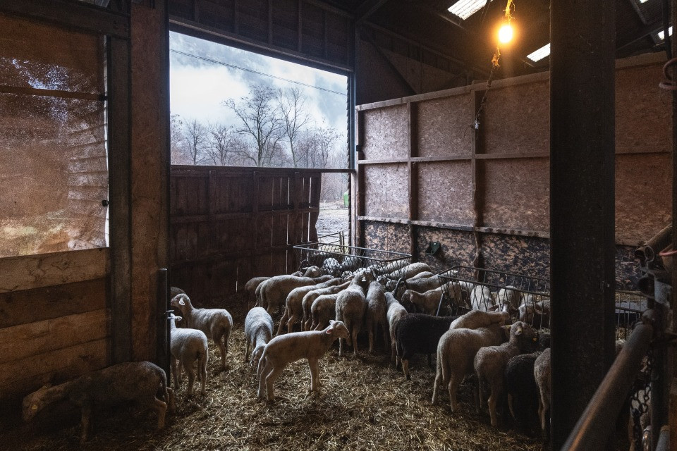 Gli agricoltori guardano al 2026 con preoccupazione