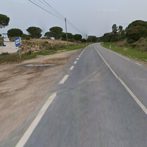 «Ci hanno detto che era un gioco»: due fratellini bendati e abbandonati nel bosco