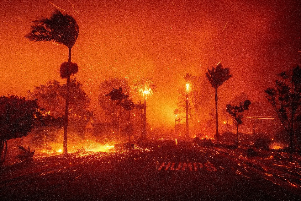 Nel 2025 meno incendi, ma più devastanti (e nelle aree più ricche del mondo)