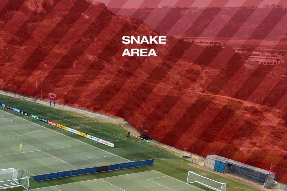 «Snake area»: il ritiro della Svizzera a San Diego è infestato dai serpenti a sonagli?