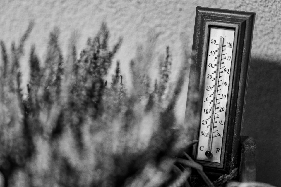 Le stagioni non sono più quelle di una volta, anche nel 1926