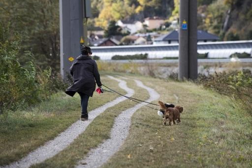 Bellinzona adegua l’Ordinanza municipale sulla custodia dei cani