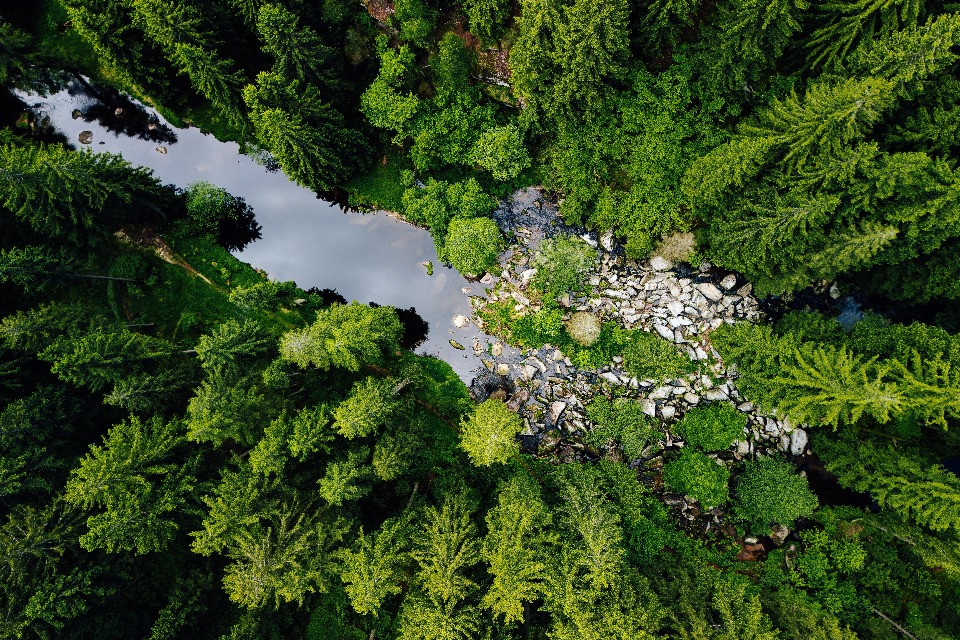 Al via a Davos il Forum mondiale sulla biodiversità