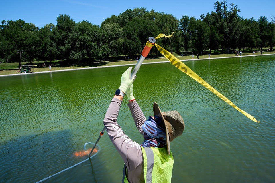Trump ristruttura la «Reflecting Pool» del Lincoln Memorial, ma l'acqua diventa verde