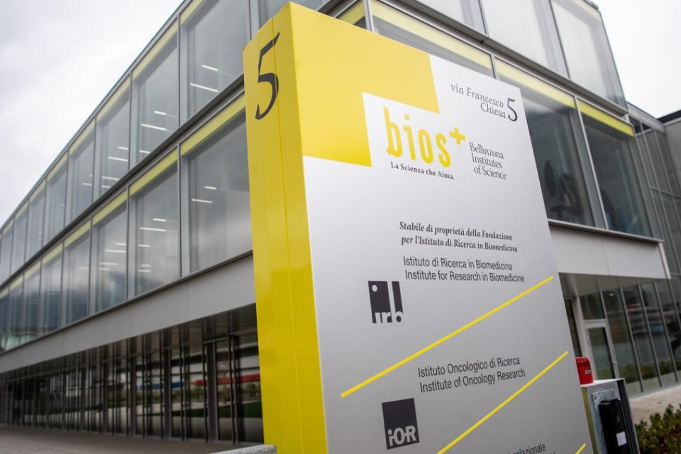 Ricerca biomedica in Ticino, completata la nuova organizzazione dell'IRT