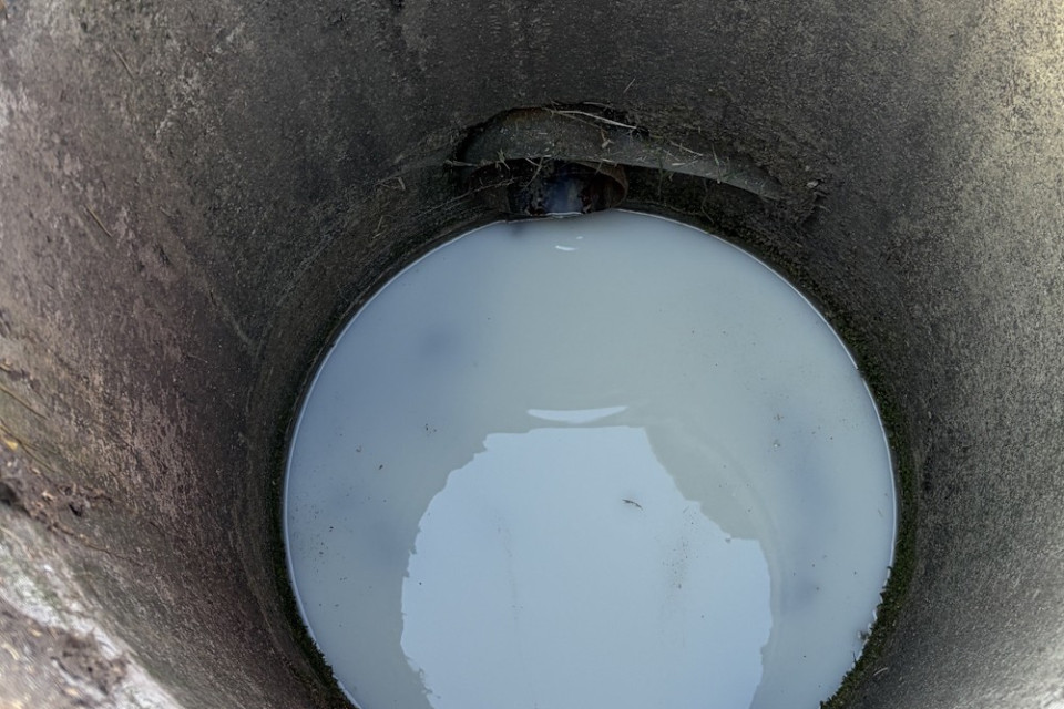Circa 200 liti di latte finiscono in un ruscello a Degersheim