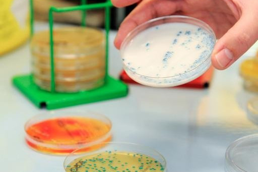 In Svizzera aumentano le malattie di origine alimentare