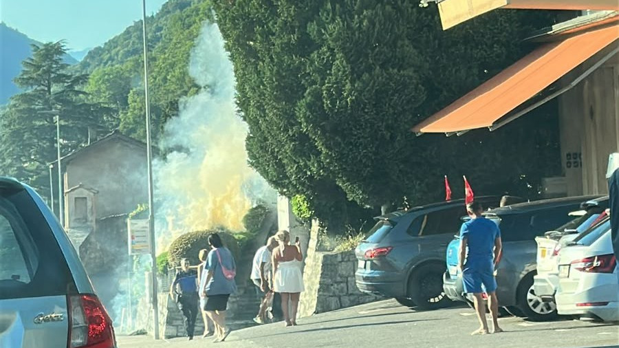Incendio a Mendrisio, in fiamme una siepe