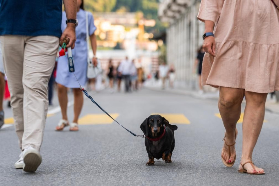 Lugano, ecco le chiusure del lungolago per gli eventi