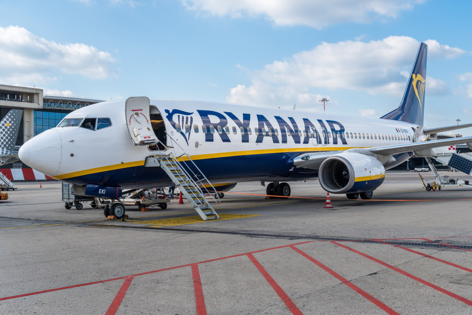 Sciame di zanzare a Milano Malpensa, passeggeri costretti a uscire dall'aereo