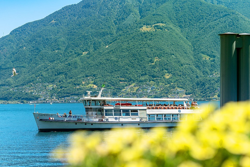 «Cambiare gestione non basta, il lago deve tornare a vivere»