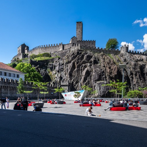 «Tre mozioni per preparare Bellinzona al grande caldo»
