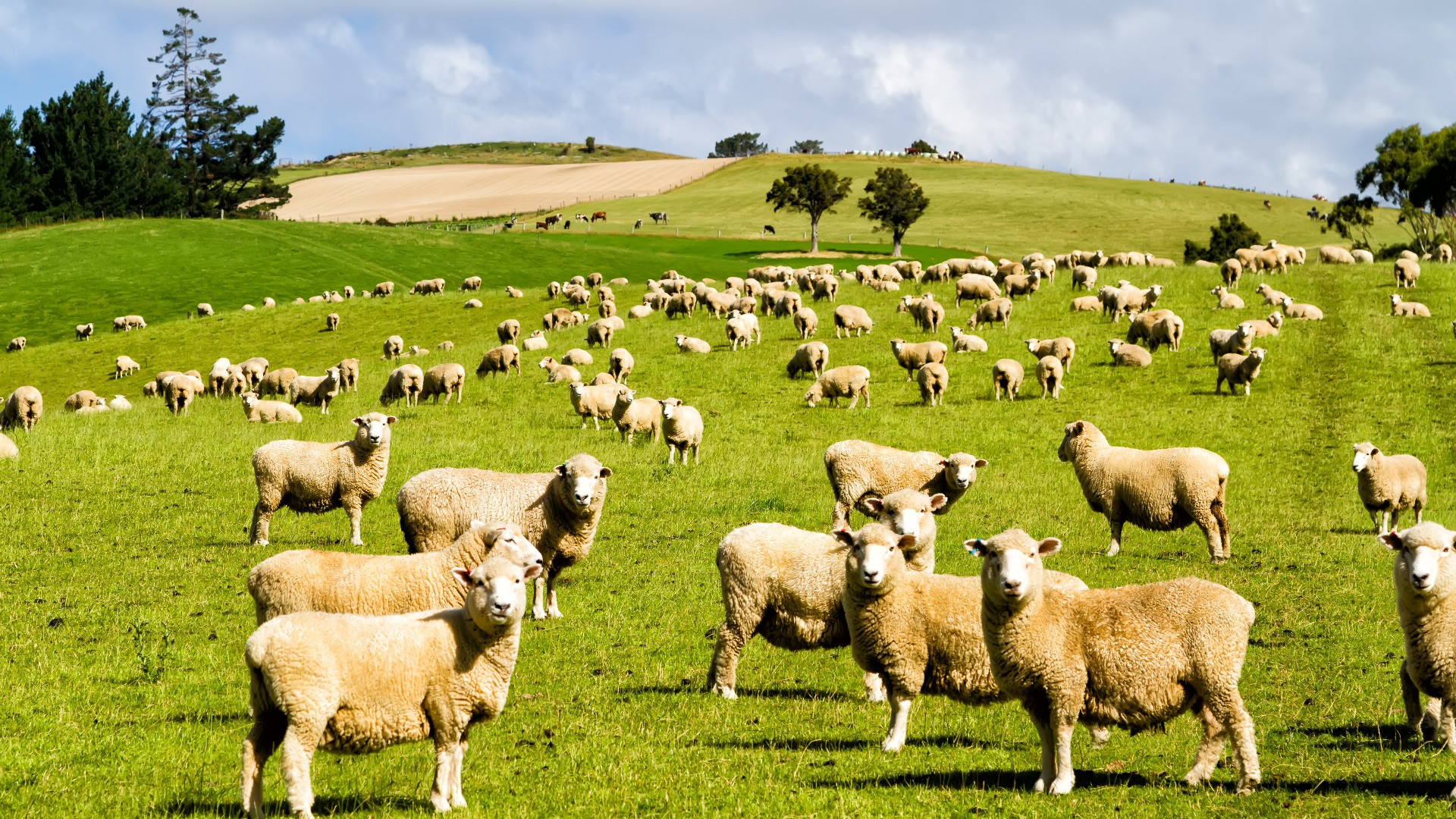 La natura dà spettacolo