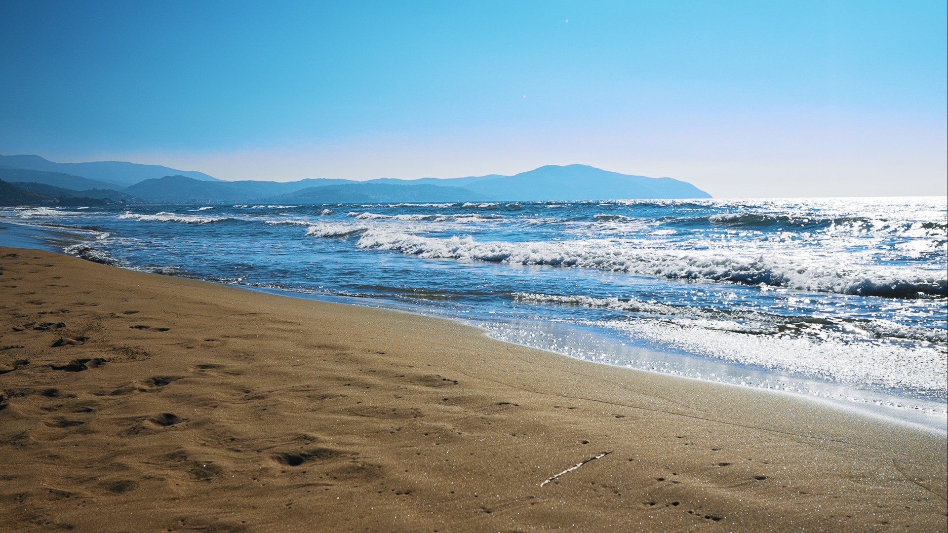 Dalla spiaggia all'ospedale: turista svizzero morsicato da un pesce in Cilento