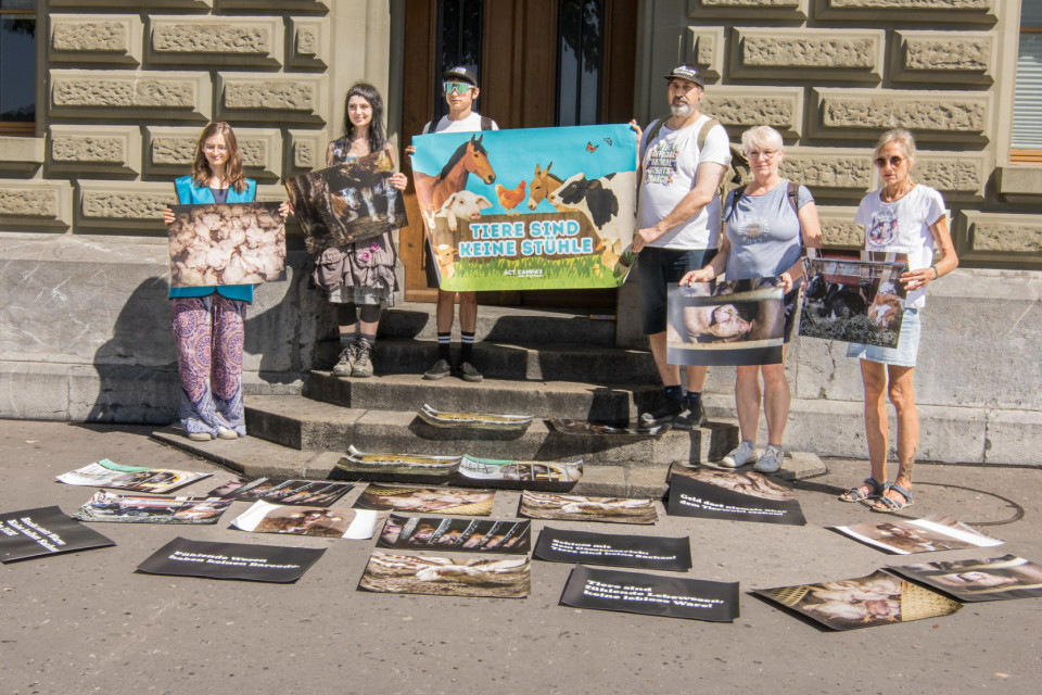 Consegnate 19'581 firme per chiedere una svolta nella tutela degli animali