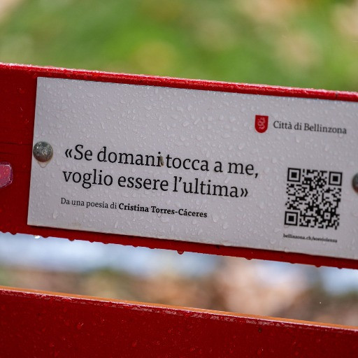 «Gli omicidi sono in calo, eppure i femminicidi sono stabili»