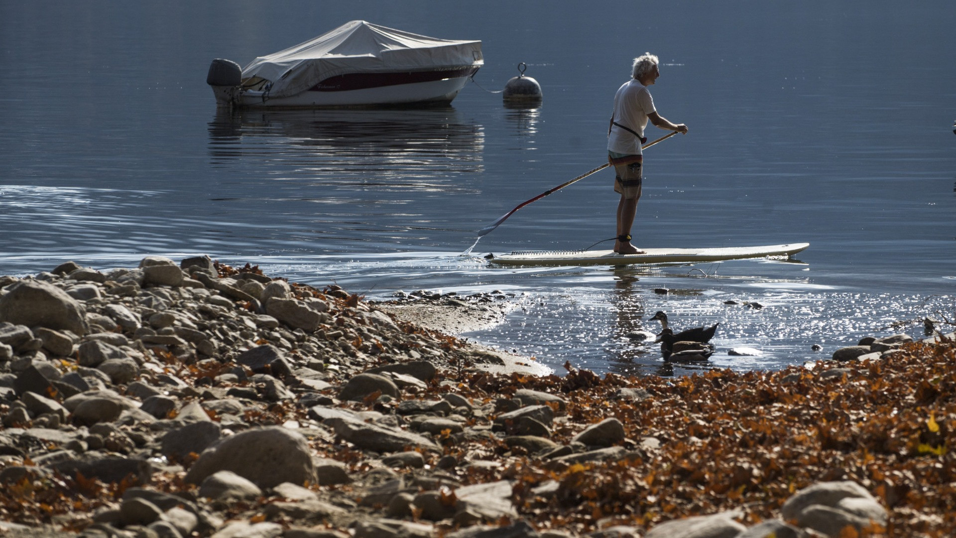 «Deficit estremi» per la siccità: il Lago Maggiore a 10 cm dal minimo storico di luglio