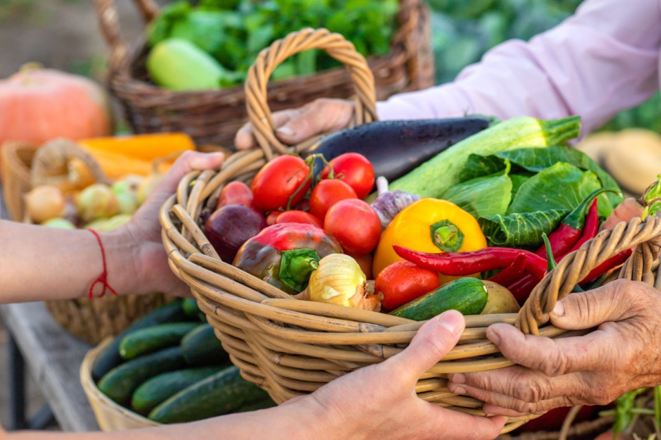 Iniziativa sull'alimentazione: Greenpeace e Pro Natura prendono le distanze