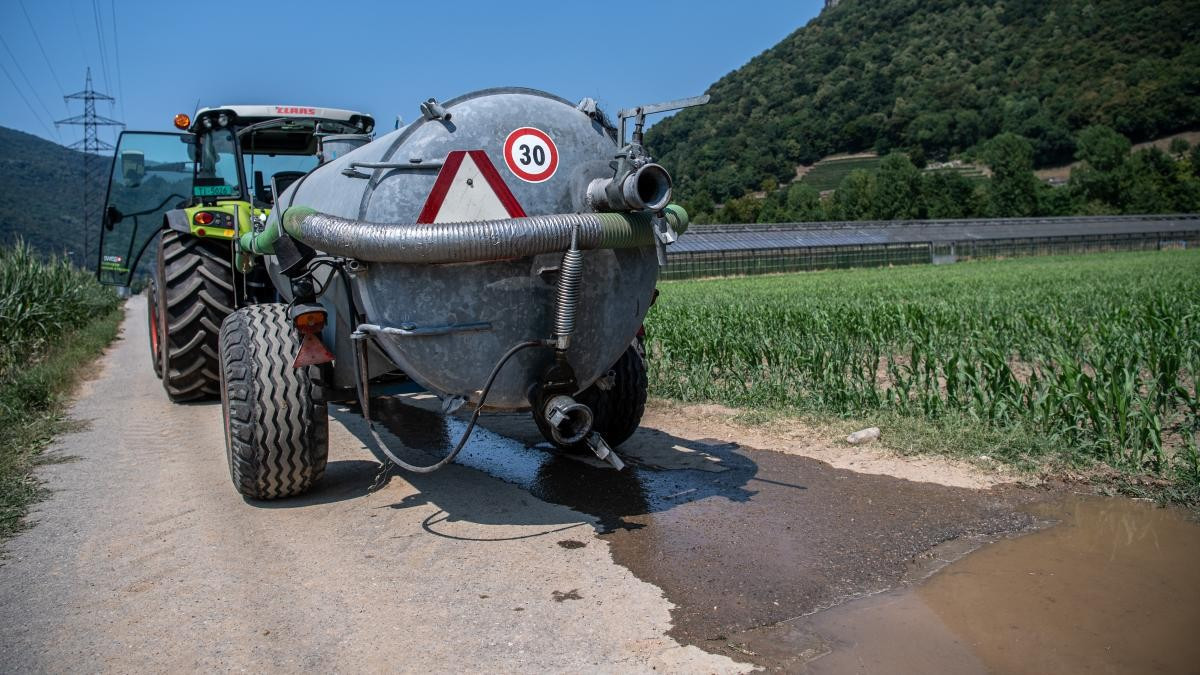 Siccità, Novazzano mette a disposizione l'acqua per il settore agricolo