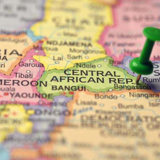 Era locarnese il geologo ucciso nella Repubblica Centrafricana