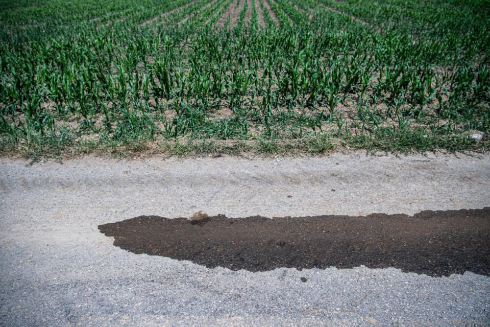 Berna sostiene l'agricoltura contro la siccità persistente