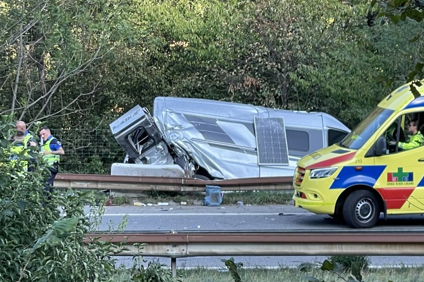 Grave incidente sulla A2, si è pure smarrito un gatto