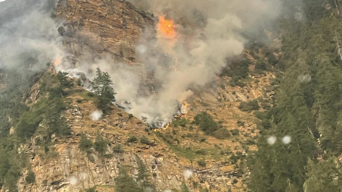 Incendio in Valle Verzasca, bruciati quasi tre ettari di bosco