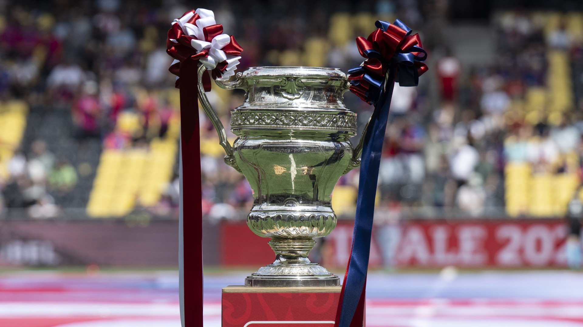 Il Vedeggio si offre la AIL Arena: «Una giornata da giocatori veri»