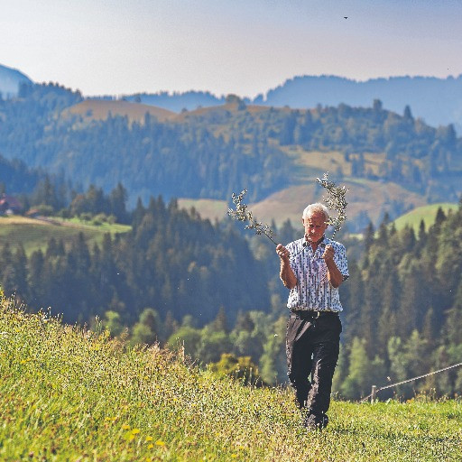 Con la siccità in Svizzera sono tornati di moda i rabdomanti