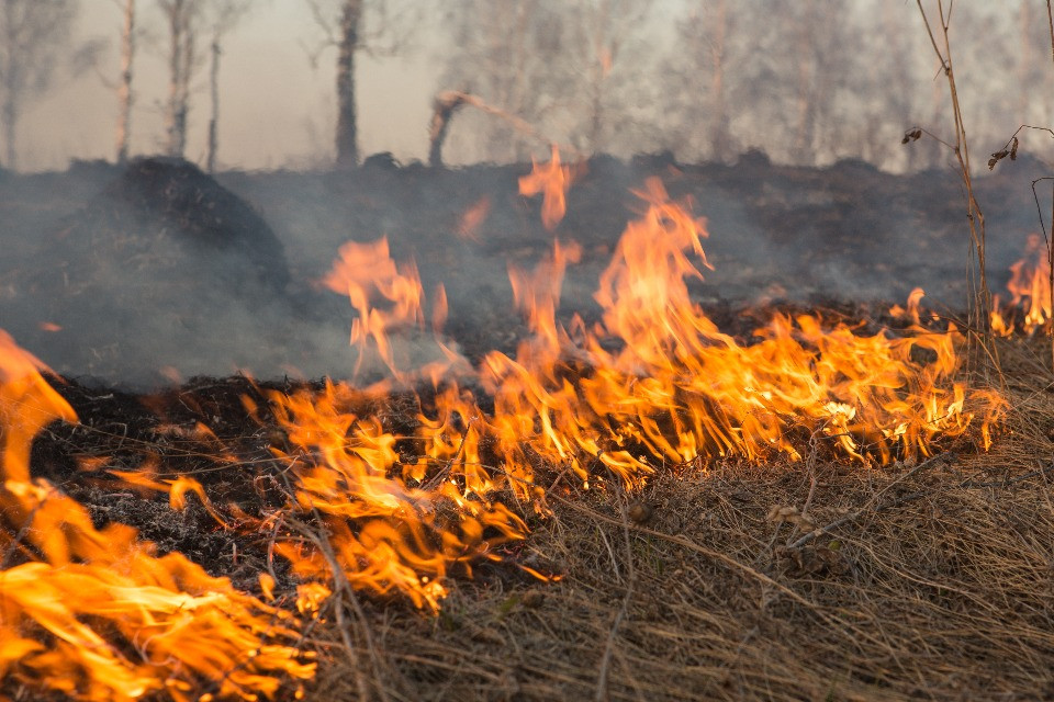 Incendi in Italia, l’odore di bruciato affumica anche il Sottoceneri