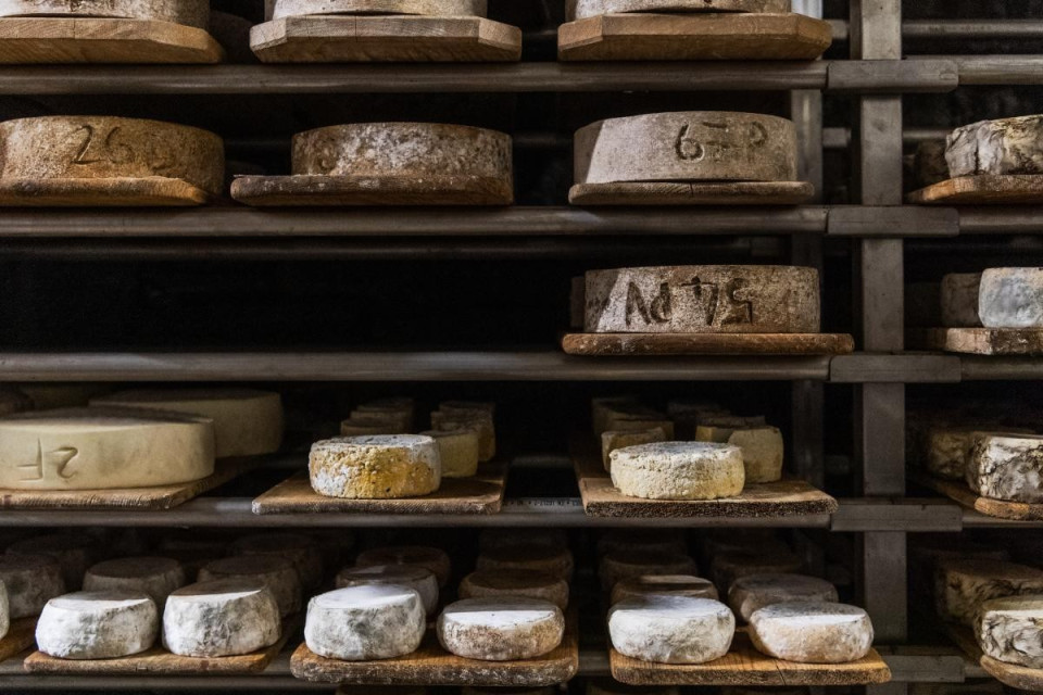 Canicola e siccità mettono a dura prova i produttori di formaggio