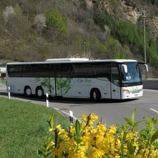 Altro ricorso: le Autolinee Bleniesi viaggiano fino a Losanna