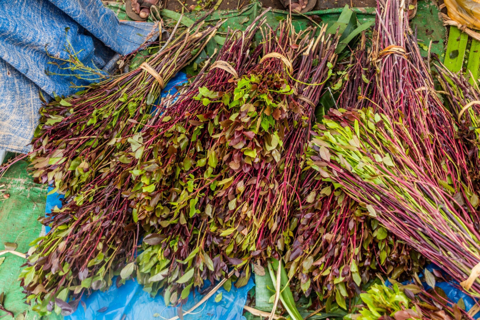 Cittadino svizzero condannato per traffico di khat