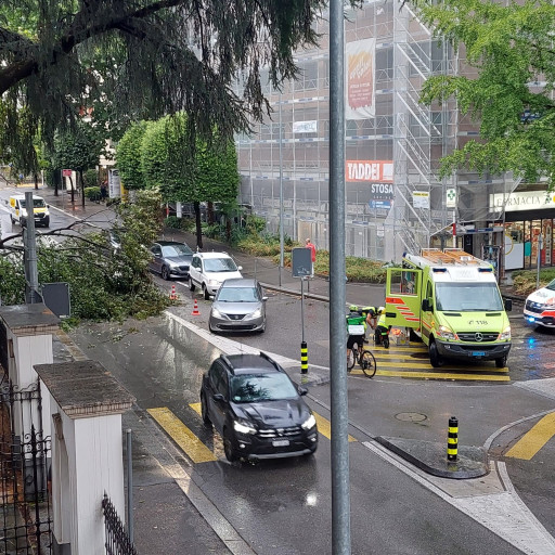 Il maltempo fa danni: un albero è caduto in via Trevano