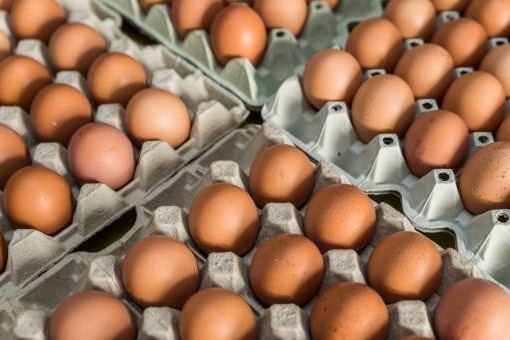 Richiamate le «Uova ticinesi» vendute da Lidl, rischio salmonelle