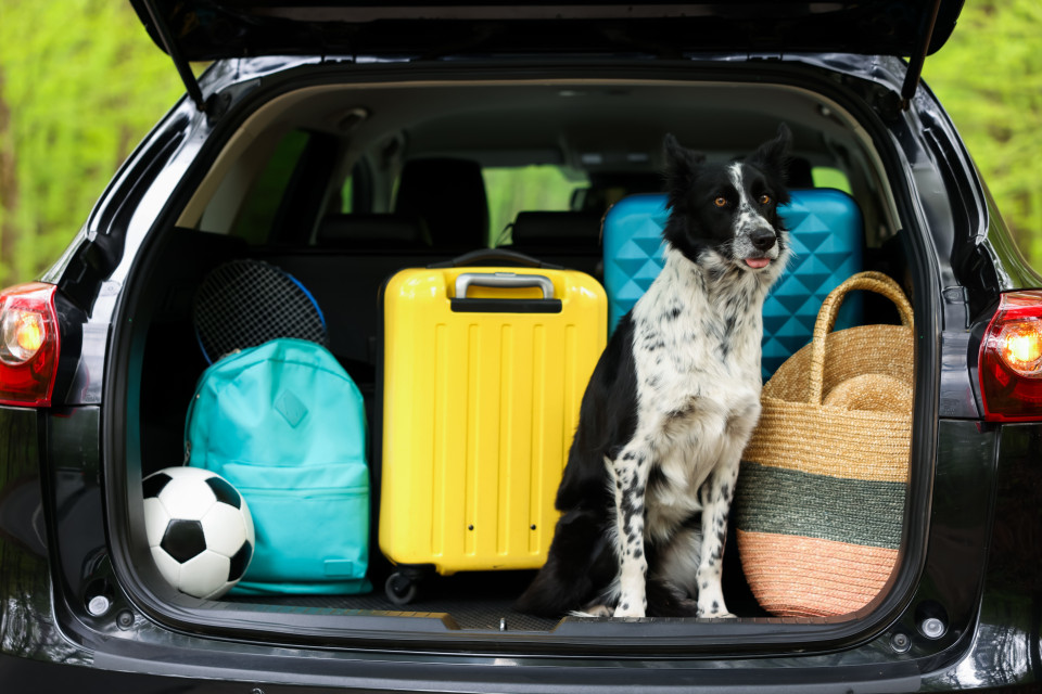 Gli svizzeri adeguano le vacanze al caldo estivo